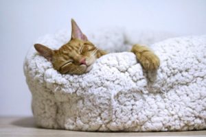 How to stop being lazy and start being productive