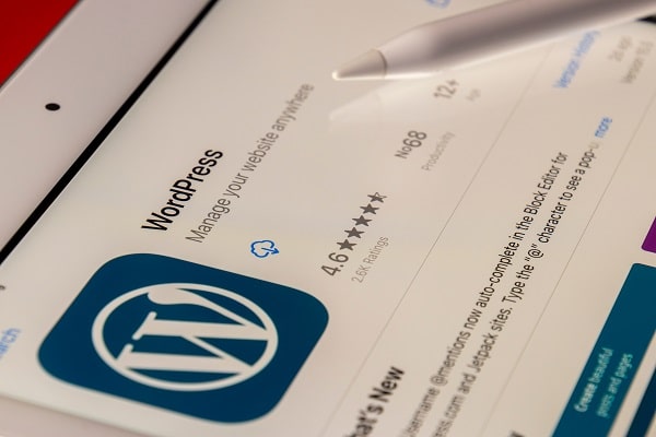 Pros of using WordPress for building secure e-commerce websites for your online business