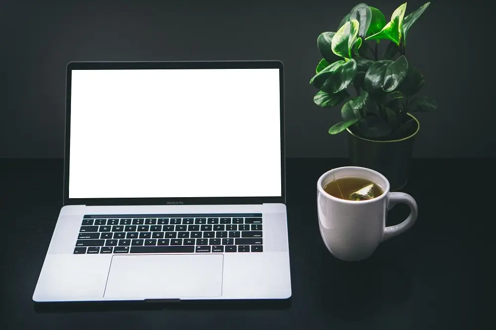 Be Productive Every Day, website owned by web content manager and writer Andréane Laure, covers several topics from how to build online income streams digital marketing to productivity. If you want to work with us, please do not hesitate to contact Andréane! Pic shows a laptop and a mug, illustrating the life of a full-time blogger who works from home.